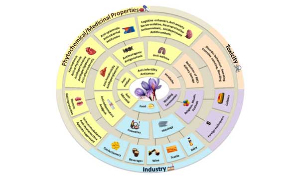 saffron benefits