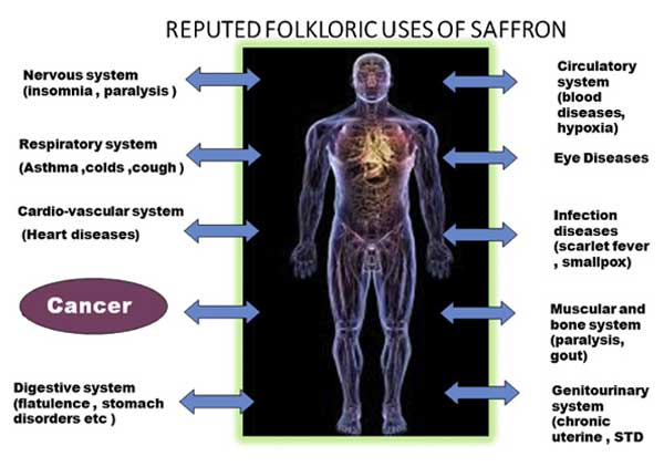 saffron benefits