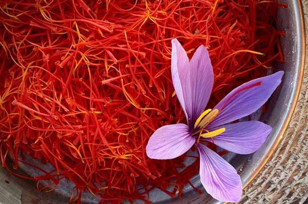 Pushal saffron