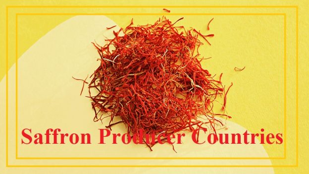Saffron Producers Strategies for Growth Amidst Challenges